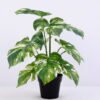 Artificial Plant 30*30*34cm Monstera in Plastic pot GS-03320083 1 Artificial Plant 30*30*34cm Monstera in Plastic pot GS-03320083
