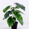 Artificial Plant 30*30*34cm Monstera in Plastic pot GS-03320084