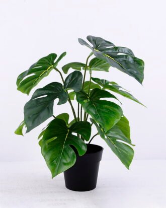 Artificial Plant 30*30*34cm Monstera in Plastic pot GS-03320084 Potted Flowers&Plants YeahFlower is one of Chinese leading OEM manufacturers and exporters , supplying the silk flowers, wholesale artificial trees Artificial Plant 30*30*34cm Monstera in Plastic pot GS-03320084