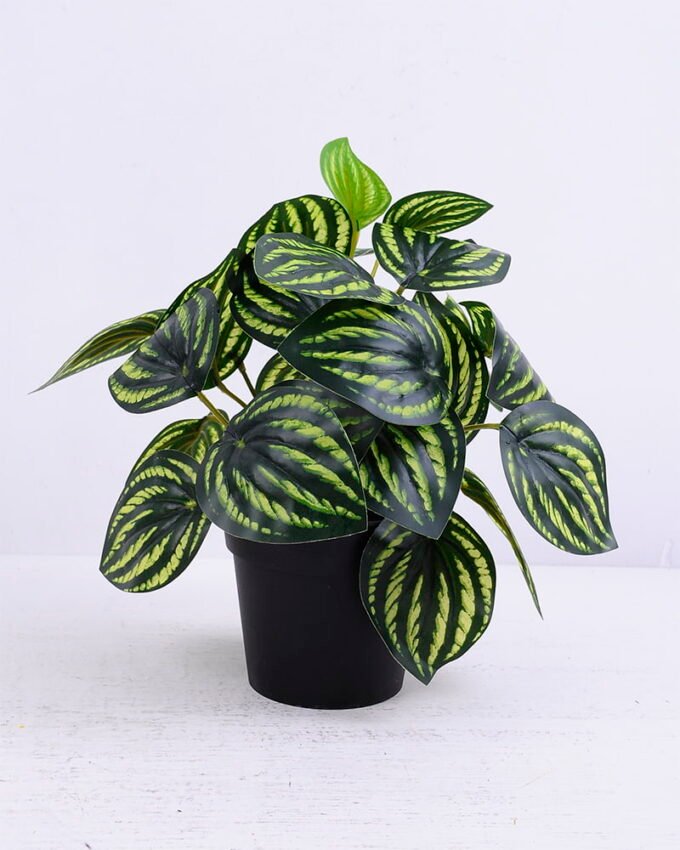 Artificial Plant 24*24*25cm Peperomia argyreia in plastic pot GS-03320063 1 Artificial Plant 24*24*25cm Peperomia argyreia in plastic pot GS-03320063