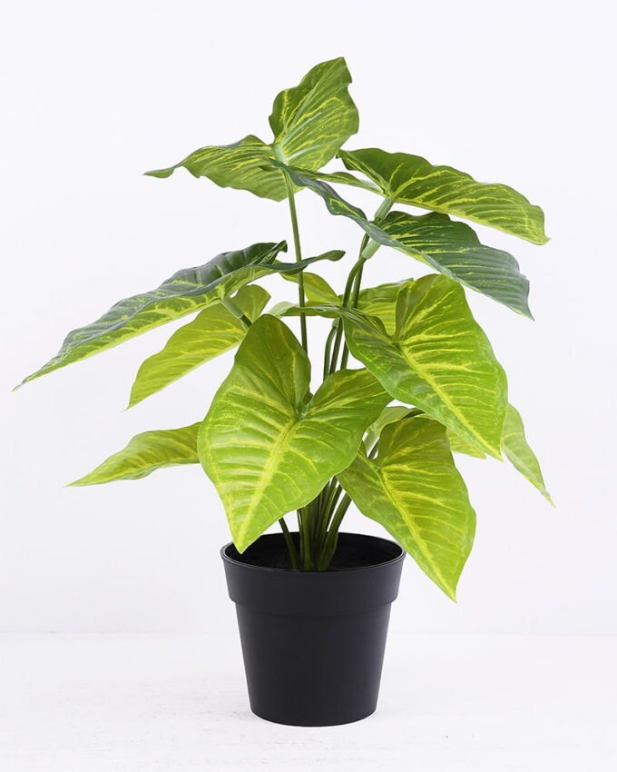 Artificial Plant 30*30*34cm Syngonium leaf in Plastic pot GS-03320087 1 Artificial Plant 30*30*34cm Syngonium leaf in Plastic pot GS-03320087