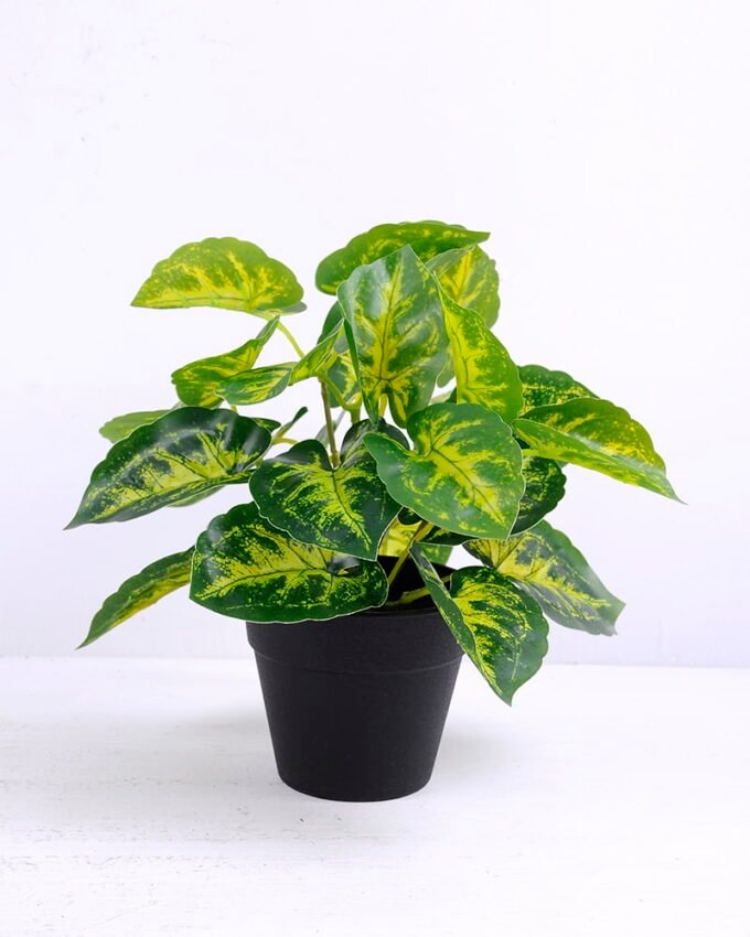 Artificial Plant 22*22*22cm Syngonium podophyllum in plastic pot GS-03320061 1 Artificial Plant 22*22*22cm Syngonium podophyllum in plastic pot GS-03320061