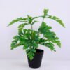 Artificial Plant 30*30*34cm Watermelon Leaf in Plastic pot GS-03320085 1 Artificial Plant 30*30*34cm Watermelon Leaf in Plastic pot GS-03320085
