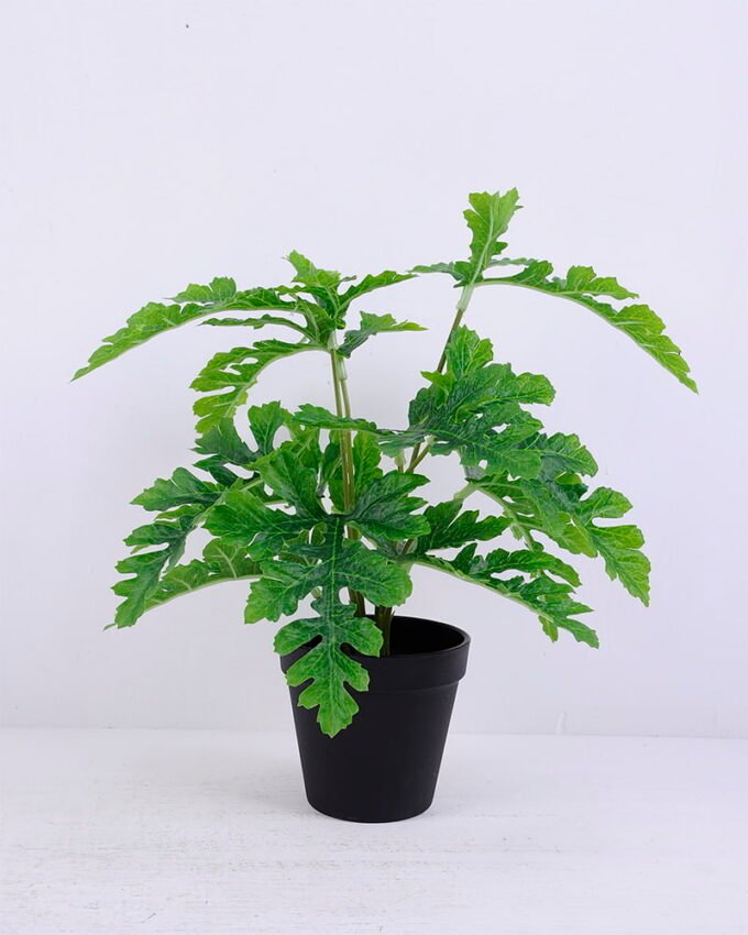 Artificial Plant 30*30*34cm Watermelon Leaf in Plastic pot GS-03320085 1 Artificial Plant 30*30*34cm Watermelon Leaf in Plastic pot GS-03320085