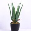 Artificial Tree 20*18*34CM Aloe In Pot/lvs10 GS-46920002