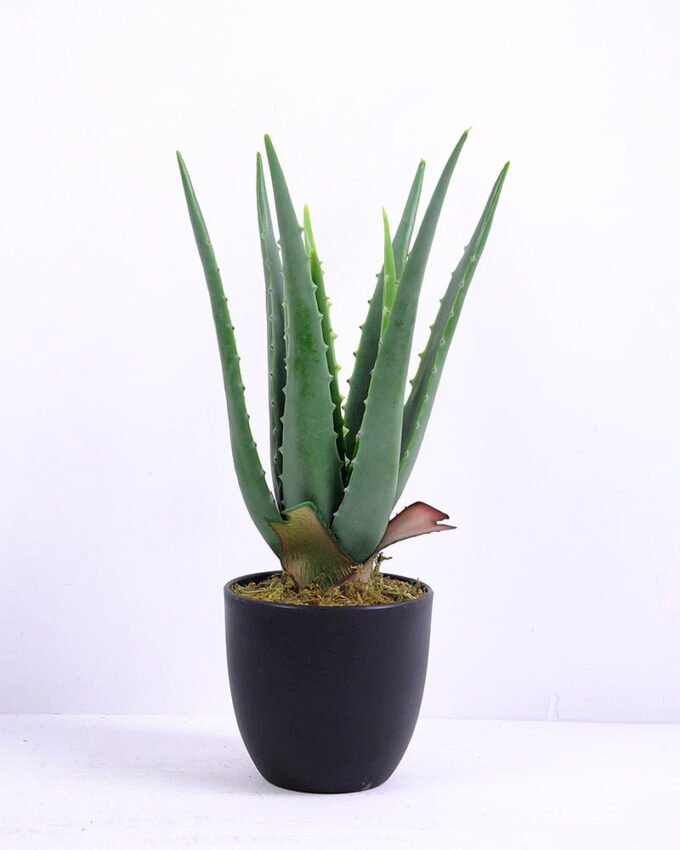 Artificial Tree 20*18*34CM Aloe In Pot/lvs10 GS-46920002