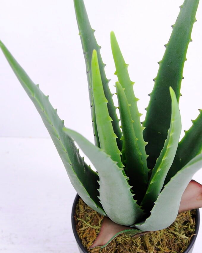 Artificial Tree 20*18*34CM Aloe In Pot/lvs10 GS-46920002