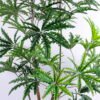 Artificial Tree 99*79*169CM Artificial tree in plastic pot GS-46920011