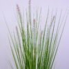 Artificial Tree 47*47*89CM Bristlegrass in plastic pot GS-45720020