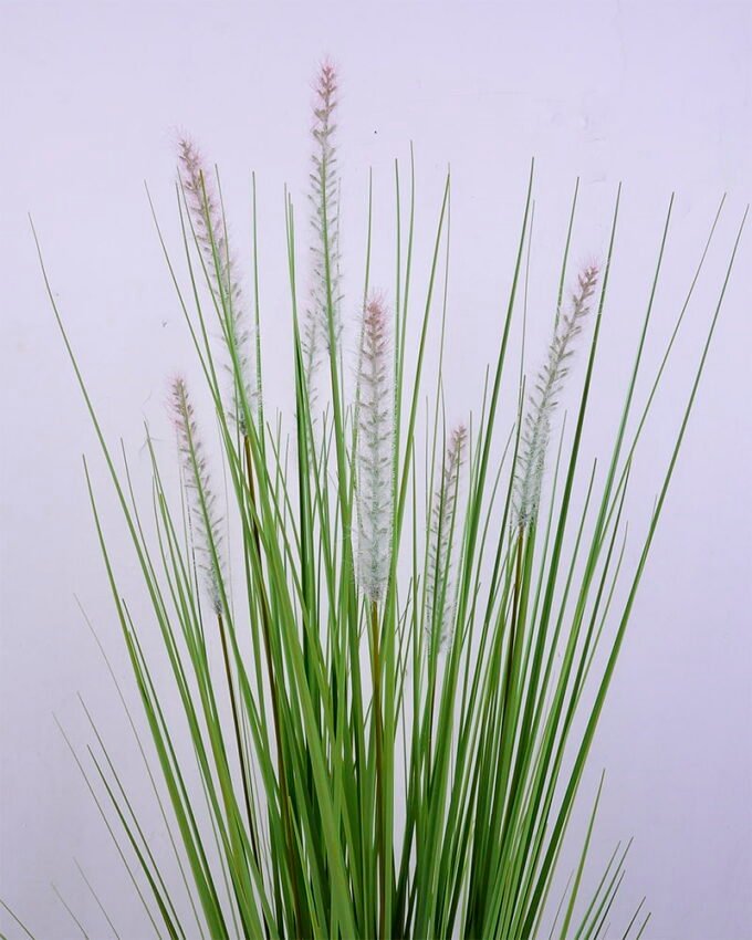 Artificial Tree 47*47*89CM Bristlegrass in plastic pot GS-45720020