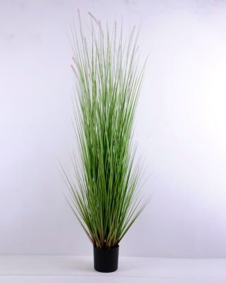 Artificial Tree 57*55*165CM Bristlegrass in plastic pot GS-45720021