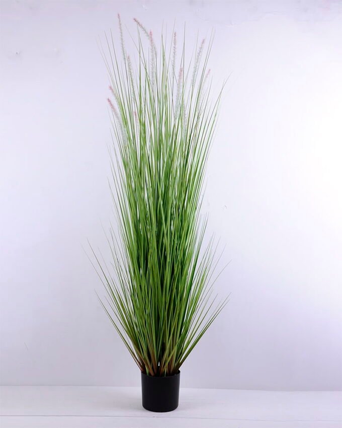 Artificial Tree 57*55*165CM Bristlegrass in plastic pot GS-45720021