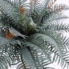 Artificial Tree 75*76*56CM Fern?bush GS-48620015
