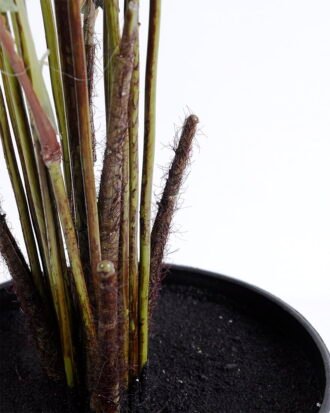 Artificial Tree 82*74*124CM Fern?in plastic pot GS-48620008