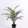 Artificial Tree 59*54*68CM Fern?in plastic pot GS-48620010