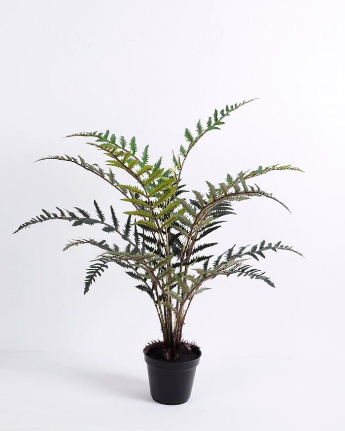 Artificial Tree 59*54*68CM Fern?in plastic pot GS-48620010
