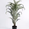 Artificial Tree 72*64*121CM Fern?in plastic pot GS-48620013