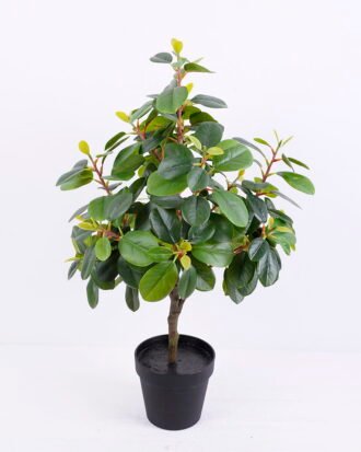 Artificial Tree 33*36*60CM Ficus in the plastic pot/lvs230 GS-30420013