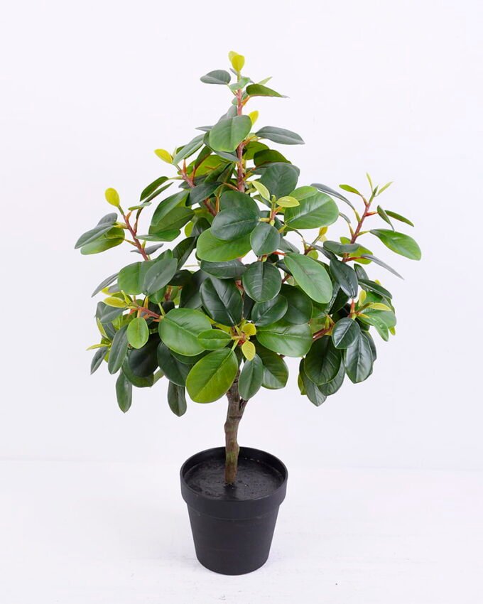 Artificial Tree 33*36*60CM Ficus in the plastic pot/lvs230 GS-30420013