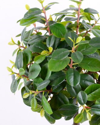 Artificial Tree 41*41*102CM Ficus in the plastic pot/lvs450 GS-30420015