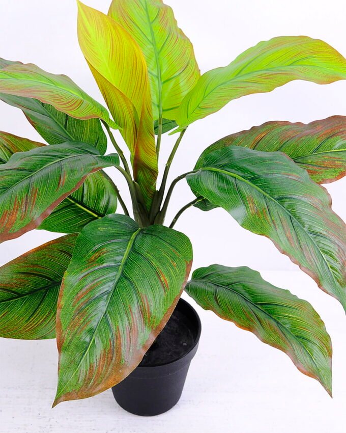 Artificial Tree 46*49*50CM Leaves in plastic pot/lvs12 GS-46920005