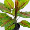 Artificial Tree 42*31*51CM Leaves in plastic pot/lvs12 GS-46920006