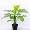 Artificial Tree 51*50*52CM Leaves in plastic pot/lvs12 GS-46920007