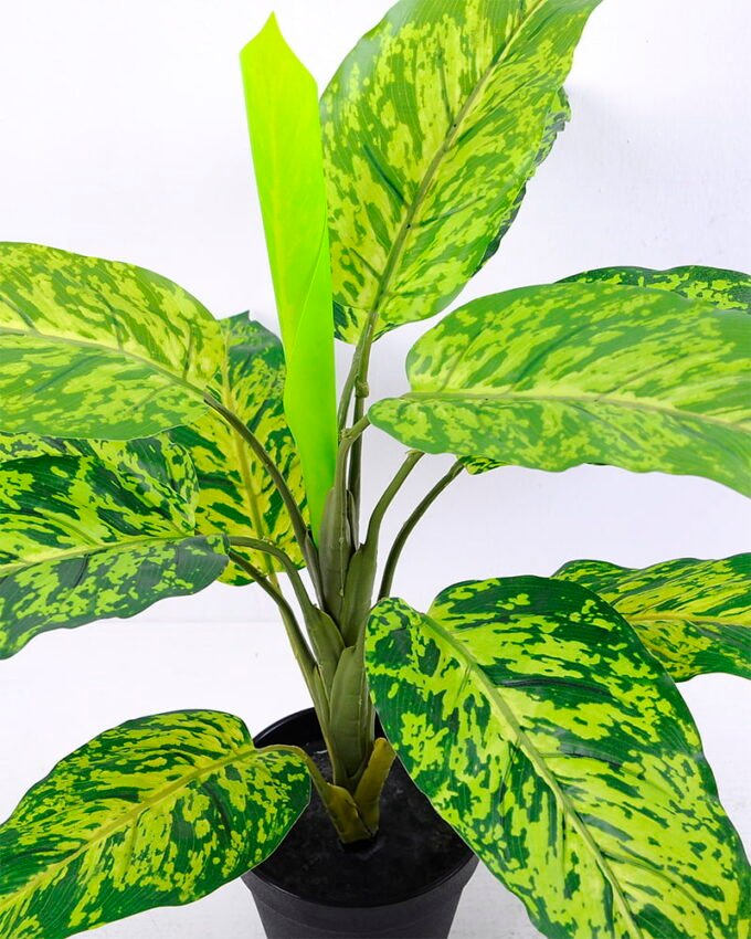 Artificial Tree 51*50*52CM Leaves in plastic pot/lvs12 GS-46920007