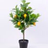 Artificial Tree 40*37*63cm Lemon tree in  plastic pot GS-30420016