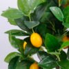 Artificial Tree 40*37*63cm Lemon tree in  plastic pot GS-30420016