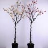 Artificial Tree 70*75*170CM Magnolia in plastic pot GS-15420025