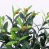 Artificial Tree 40*42*62cm Olive tree in  plastic pot/lvs270 GS-30420017