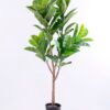 Artificial Tree 74*55*135CM Rubber wood tree in plastic pot/lvs59 GS-46920009
