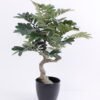 Artificial Tree 57*53*76CM Zamia in plastic pot GS-48620011