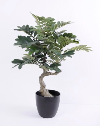 Artificial Tree 57*53*76CM Zamia in plastic pot GS-48620011
