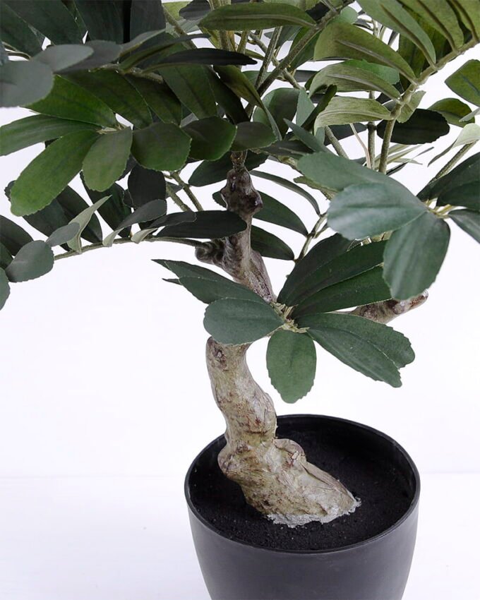 Artificial Tree 57*53*76CM Zamia in plastic pot GS-48620011