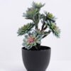 Artificial succulent 20*17*33CM succulent plants in plastic pot GS-51720120