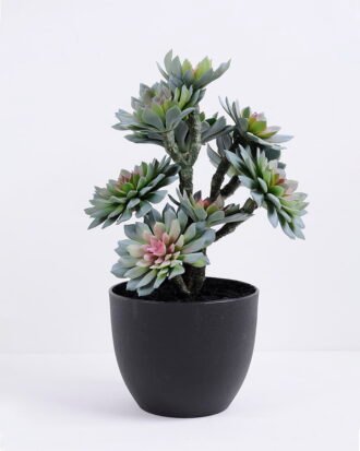 Artificial succulent 20*17*33CM succulent plants in plastic pot GS-51720120 Potted Flowers&Plants YeahFlower is one of Chinese leading OEM manufacturers and exporters , supplying the silk flowers, wholesale artificial trees Artificial succulent 20*17*33CM succulent plants in plastic pot GS-51720120