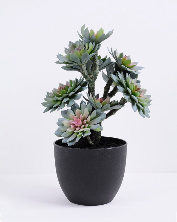Artificial succulent 20*17*33CM succulent plants in plastic pot GS-51720120