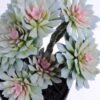 Artificial succulent 20*17*33CM succulent plants in plastic pot GS-51720120