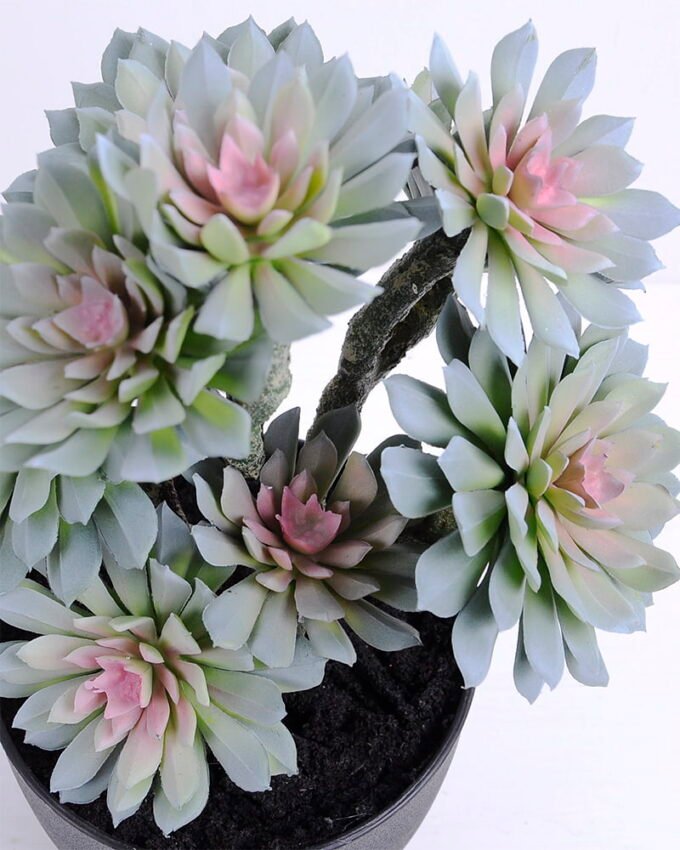 Artificial succulent 20*17*33CM succulent plants in plastic pot GS-51720120