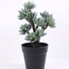 Artificial succulent 19*13*34CM succulent plants in plastic pot GS-51720122 1 Artificial succulent 19*13*34CM succulent plants in plastic pot GS-51720122