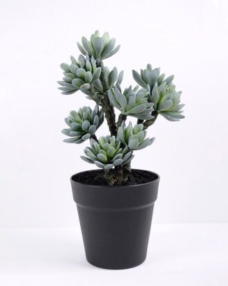 Artificial succulent 19*13*34CM succulent plants in plastic pot GS-51720122
