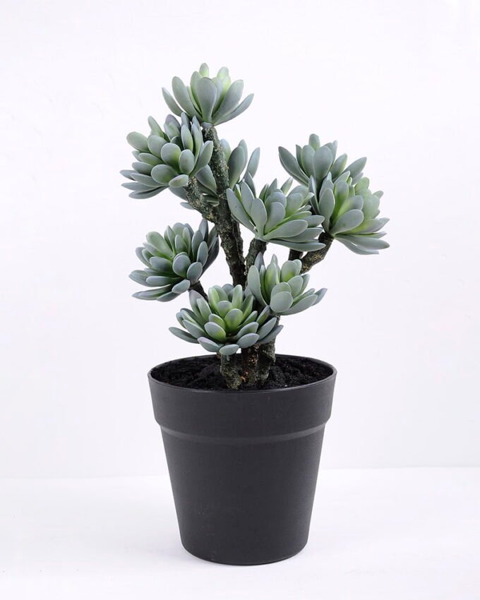 Artificial succulent 19*13*34CM succulent plants in plastic pot GS-51720122 1 Artificial succulent 19*13*34CM succulent plants in plastic pot GS-51720122