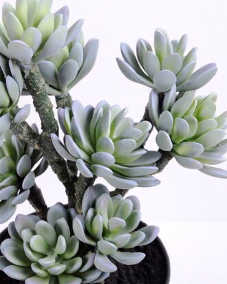 Artificial succulent 19*13*34CM succulent plants in plastic pot GS-51720122