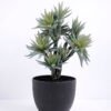 Artificial succulent 23*19*34CM succulent plants in plastic pot GS-51720125