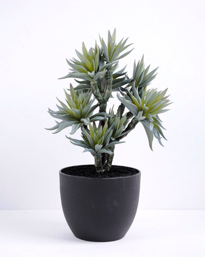 Artificial succulent 23*19*34CM succulent plants in plastic pot GS-51720125