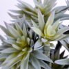 Artificial succulent 23*19*34CM succulent plants in plastic pot GS-51720125