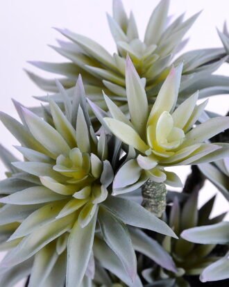 Artificial succulent 23*19*34CM succulent plants in plastic pot GS-51720125 Potted Flowers&Plants YeahFlower is one of Chinese leading OEM manufacturers and exporters , supplying the silk flowers, wholesale artificial trees Artificial succulent 23*19*34CM succulent plants in plastic pot GS-51720125