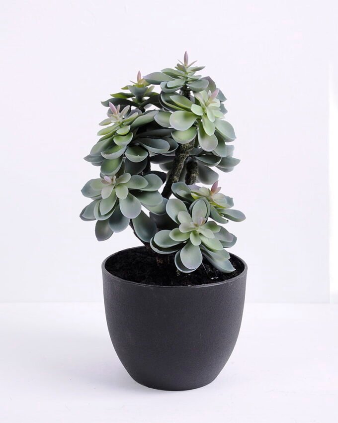 Artificial succulent 16*15*30CM succulent plants in plastic pot GS-51720126